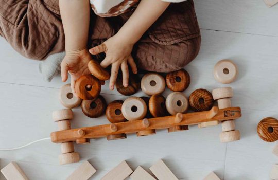 חנות צעצועי עץ לילדים2